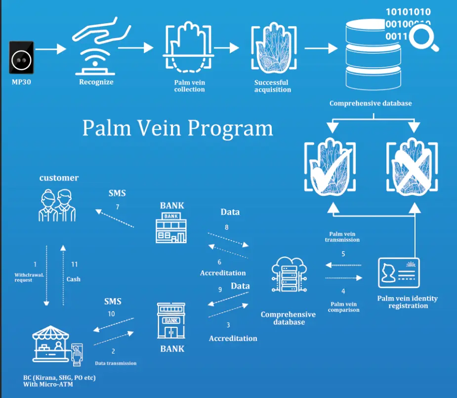 Palm Vein Recognition Process